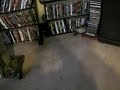 Ferrets after bath