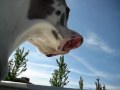 videos de MVI 3386