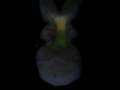 videos de peep 4