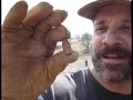 metal detector detecting relic hunting