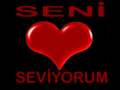 Sercan Birtanem