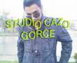 ervin 2008 album 1-studio cazo gorce