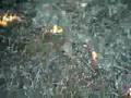 MRTB Etangs de CERGY