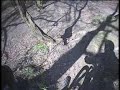 chaudfontaine dh