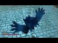 Sonic Unleashed China Tag Gameplay Sonic Unleashed China Tag Gameplay
