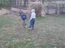 shootout