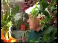 Coca: Cultura, Patrimonio y Alimento -parte 2- Coca: Cultura, Patrimonio y Alimento -parte 2-