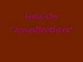 Hold On - JonasBrothers(lyrics)