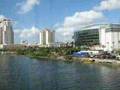 Tampa, Fl