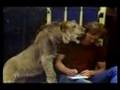 The lion reunion christian full
