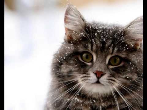 how to locate odor source