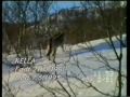 In loving memory of Kella B - Til minne
