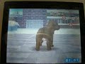 Nintendo DS Mess Eps. 3: Nintendogs -2/5 / MarioKart DS 5/5