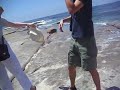onda anomala onda anomala