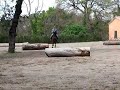 Italian Police training horses