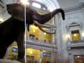 Smithsonian Museum of Natural History ...