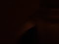 chedar-freestyle