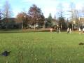 20081127100322(8).mpg