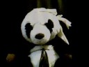Making a Ninja Panda Disappear by Psychic Ninja Magic