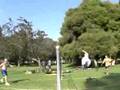 Footbag Net