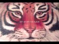 Magic Wands Warrior Official Music Video and Lyrics