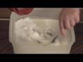 Holly Makes Gloop (UK Style)