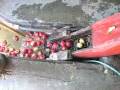 videos de  BEEKMAN 1802 APPLE CIDER PRESSING