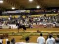 Joyero III Campeon Espectrum 2009 Miami Florida