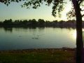 lake morning