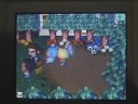 Animal Crossing: Wild World - Net Wars & Other Tomfoolery