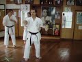 Karate Okinawa Shorin ryu ,  Kata Unsu in slow motion