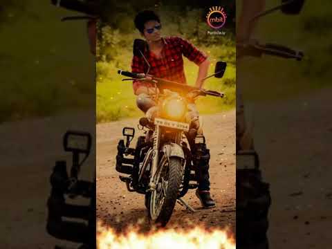動画