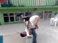 el menso del skoty