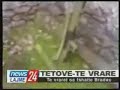 Ramadan Shiti - Brodec - Ramadan Shiti - Brodec -