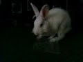 S@bur@.3GP S@bur@.3GP