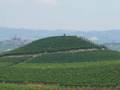 Le dolci colline delle Langhe