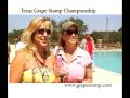 Texas Wine Events Vintage Oaks