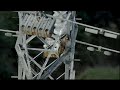 Helinet / Cineflex Power Utility Aerials