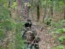 S .KOREAN AIRSOFT GAME 07/05/06  vol.1