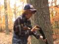 Wild Turkey Hunt in the Forest of Takoma Park Maryland