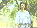 Tomislav Ivčić 1985 Maslina je neobrana