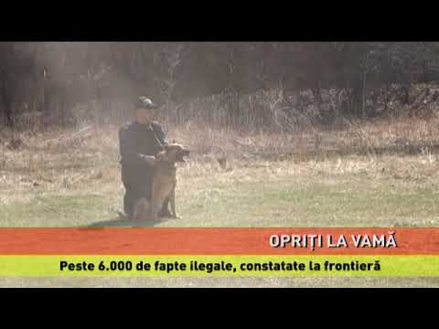 Peste 6.000 de fapte ilegale, constatate la frontieră