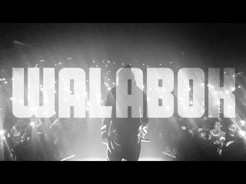 Karim Benzema en Walabok de Booba