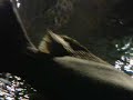 Underwater World Part - 4
