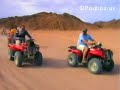 Egypt Safari Racing Quads Desert (Egipt pustynia na quadach)
