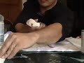 Demo on tube feeding English Bulldog puppies