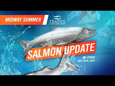 3MMI - Midway Summer Salmon Update: Sockeye, Pink, Chum, Coho, King, Alaska/Russia