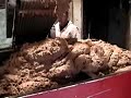 How Low Can U Go?