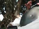 PANArt Hang Solo - Under a tree, take 2 PANArt Hang Solo - Under a tree, take 2