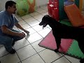FERGON Canino Real Hotel Spa - Luna Dorantes